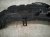 2026 Toyota Camry Front Inner Radiator Grille 53114 AQ010 Replacement 2026 Toyota Camry Front Inner Radiator Grille 53114 AQ010 Replacement thumbnail