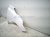 2024 Nissan Sentra Front Passenger Fender White FC100 6LBMB Replacement 2024 Nissan Sentra Front Passenger Fender White FC100 6LBMB Replacement thumbnail