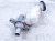 2022 Honda Odyssey Brake Master Cylinder W/reservoir 46670 THR A01 Replacement 2022 Honda Odyssey Brake Master Cylinder W/reservoir 46670 THR A01 Replacement thumbnail