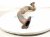 2021 Honda CR V Exhaust Flex Pipe A Hybrid 2.0l 18210 TPG A01 Replacement 2021 Honda CR V Exhaust Flex Pipe A Hybrid 2.0l 18210 TPG A01 Replacement thumbnail