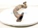 2021 Honda CR V Exhaust Flex Pipe A Hybrid 2.0l 18210 TPG A01 Replacement 2021 Honda CR V Exhaust Flex Pipe A Hybrid 2.0l 18210 TPG A01 Replacement thumbnail