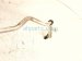 2004 Volvo S40 Ac Pipe Line A/c Suction Hose 1.9l Fwd 30889590 Replacement 2004 Volvo S40 Ac Pipe Line A/c Suction Hose 1.9l Fwd 30889590 Replacement thumbnail