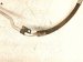 2004 Volvo S40 Ac Pipe Line A/c Suction Hose 1.9l Fwd 30889590 Replacement 2004 Volvo S40 Ac Pipe Line A/c Suction Hose 1.9l Fwd 30889590 Replacement thumbnail
