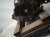 2019 Honda Accord Long Block Engine / Motor = 83k Mi 10002 6B2 A03 Replacement 2019 Honda Accord Long Block Engine / Motor = 83k Mi 10002 6B2 A03 Replacement thumbnail
