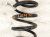 2021 Honda CR V Strut / / Shock Absorber Rear Passenger Coil Spring Hybrid 52441 TPG A51 Replacement 2021 Honda CR V Strut / / Shock Absorber Rear Passenger Coil Spring Hybrid 52441 TPG A51 Replacement thumbnail