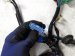 2022 Honda Odyssey Engine Room Harness W/fuse 3.5l Fwd 32120 THR A224 03 Replacement 2022 Honda Odyssey Engine Room Harness W/fuse 3.5l Fwd 32120 THR A224 03 Replacement thumbnail
