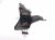 2025 Honda CR V Rear Seat 2nd Row Mid Belt Retractor Black 81680 3A0 A01 Replacement 2025 Honda CR V Rear Seat 2nd Row Mid Belt Retractor Black 81680 3A0 A01 Replacement thumbnail