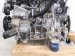 2024 Ford Mustang Long Block Engine / Motor = 0k Mi PR3Z 6009 A Replacement 2024 Ford Mustang Long Block Engine / Motor = 0k Mi PR3Z 6009 A Replacement thumbnail