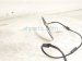 2023 Honda Accord Roof Antenna White 8A150 30A A11ZD Replacement 2023 Honda Accord Roof Antenna White 8A150 30A A11ZD Replacement thumbnail