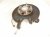 2007 Honda Accord Axle Stub Rear Driver Spindle Knuckle Hub 52215 SDA A50 Replacement 2007 Honda Accord Axle Stub Rear Driver Spindle Knuckle Hub 52215 SDA A50 Replacement thumbnail