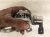 2019 Honda FIT Gas / Fuel Pump (tank Mounted) 06161 5R1 306 Replacement 2019 Honda FIT Gas / Fuel Pump (tank Mounted) 06161 5R1 306 Replacement thumbnail