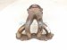 2006 Honda Accord Catalytic Exhaust Manifold 2.4l 18100 RAA A11 Replacement 2006 Honda Accord Catalytic Exhaust Manifold 2.4l 18100 RAA A11 Replacement thumbnail