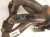 2006 Honda Accord Catalytic Exhaust Manifold 2.4l 18100 RAA A11 Replacement 2006 Honda Accord Catalytic Exhaust Manifold 2.4l 18100 RAA A11 Replacement thumbnail