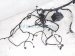 2022 Honda Odyssey Engine Room Harness W/fuse 3.5l Fwd 3210A THR A13 Replacement 2022 Honda Odyssey Engine Room Harness W/fuse 3.5l Fwd 3210A THR A13 Replacement thumbnail
