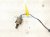2014 Toyota Corolla Rear Lower Oxygen Sensor 89465 02390 Replacement 2014 Toyota Corolla Rear Lower Oxygen Sensor 89465 02390 Replacement thumbnail