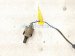 2014 Toyota Corolla Rear Lower Oxygen Sensor 89465 02390 Replacement 2014 Toyota Corolla Rear Lower Oxygen Sensor 89465 02390 Replacement thumbnail