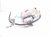 2026 Kia K4 Front Driver Brake Caliper 58110 GG000 Replacement 2026 Kia K4 Front Driver Brake Caliper 58110 GG000 Replacement thumbnail