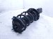 2026 Kia K4 Front Passenger Strut Absorber + Spring 54651 GG000 Replacement 2026 Kia K4 Front Passenger Strut Absorber + Spring 54651 GG000 Replacement thumbnail