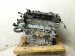 2026 Kia K4 Long Block Engine / Motor = 1k Mi 211102J312 Replacement 2026 Kia K4 Long Block Engine / Motor = 1k Mi 211102J312 Replacement thumbnail