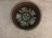 2021 Lexus Is300 Front Driver Wheel / Rim *light Scuffs 42611 53630 Replacement 2021 Lexus Is300 Front Driver Wheel / Rim *light Scuffs 42611 53630 Replacement thumbnail