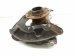 2021 Lexus Is300 Front Driver Spindle Knuckle Hub 43202 30040 Replacement 2021 Lexus Is300 Front Driver Spindle Knuckle Hub 43202 30040 Replacement thumbnail