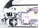 2021 Lexus Is300 Front Passenger Door White No Mirror/trim 67001 53160 Replacement 2021 Lexus Is300 Front Passenger Door White No Mirror/trim 67001 53160 Replacement thumbnail