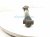 2024 Volkswagen Tiguan Strut / Spring / Rear Passenger Shock Absorber 5QN 513 049 AM Replacement 2024 Volkswagen Tiguan Strut / Spring / Rear Passenger Shock Absorber 5QN 513 049 AM Replacement thumbnail