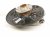 2024 Volkswagen Tiguan Axle Stub Rear Passenger Spindle Knuckle Hub Fwd 5QN 505 436 A Replacement 2024 Volkswagen Tiguan Axle Stub Rear Passenger Spindle Knuckle Hub Fwd 5QN 505 436 A Replacement thumbnail