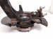 2025 Honda Civic Front Passenger Spindle Knuckle Hub 51211 T22 A01 Replacement 2025 Honda Civic Front Passenger Spindle Knuckle Hub 51211 T22 A01 Replacement thumbnail