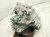 2025 Honda Civic Manual Transmission = Mi 20011 65P J41 Replacement 2025 Honda Civic Manual Transmission = Mi 20011 65P J41 Replacement thumbnail