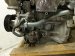 2025 Honda Civic Long Block Engine / Motor = Mi 10002 64B A00 Replacement 2025 Honda Civic Long Block Engine / Motor = Mi 10002 64B A00 Replacement thumbnail