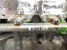2025 Honda Civic Long Block Engine / Motor = Mi 10002 64B A00 Replacement 2025 Honda Civic Long Block Engine / Motor = Mi 10002 64B A00 Replacement thumbnail