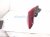 2025 Honda Civic Light / Rear Passenger Tail Lamp (on Body) 33500 T47 A02 Replacement 2025 Honda Civic Light / Rear Passenger Tail Lamp (on Body) 33500 T47 A02 Replacement thumbnail