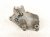 2006 Honda Accord Engine/motor Passenger Engine Mount Bracket 2.4l 50630 SDA A02 Replacement 2006 Honda Accord Engine/motor Passenger Engine Mount Bracket 2.4l 50630 SDA A02 Replacement thumbnail