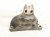 2006 Honda Accord Engine/motor Passenger Engine Mount Bracket 2.4l 50630 SDA A02 Replacement 2006 Honda Accord Engine/motor Passenger Engine Mount Bracket 2.4l 50630 SDA A02 Replacement thumbnail