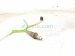 2023 Honda Ridgeline Oxygen Front Exhaust Manifold Laf Sensor 36531 5MR A01 Replacement 2023 Honda Ridgeline Oxygen Front Exhaust Manifold Laf Sensor 36531 5MR A01 Replacement thumbnail