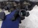 2022 Honda Odyssey Main Engine Wire Harness 3.5l At F 32110 5MR A205 Replacement 2022 Honda Odyssey Main Engine Wire Harness 3.5l At F 32110 5MR A205 Replacement thumbnail