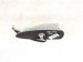 2022 Subaru WRX Roof Antenna Silver Cap 86321VC350TQ Replacement 2022 Subaru WRX Roof Antenna Silver Cap 86321VC350TQ Replacement thumbnail