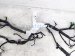 2025 Honda CR V Dash Instrument Wire Harness Hyb 779611 3A0 8E0 Replacement 2025 Honda CR V Dash Instrument Wire Harness Hyb 779611 3A0 8E0 Replacement thumbnail