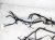 2025 Honda CR V Dash Instrument Wire Harness Hyb 779611 3A0 8E0 Replacement 2025 Honda CR V Dash Instrument Wire Harness Hyb 779611 3A0 8E0 Replacement thumbnail