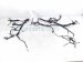 2025 Honda CR V Dash Instrument Wire Harness Hyb 779611 3A0 8E0 Replacement 2025 Honda CR V Dash Instrument Wire Harness Hyb 779611 3A0 8E0 Replacement thumbnail