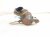 2019 Honda FIT Catalytic Converter 1.5l 18190 5R7 L00 Replacement 2019 Honda FIT Catalytic Converter 1.5l 18190 5R7 L00 Replacement thumbnail