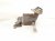 2019 Honda FIT Catalytic Converter 1.5l 18190 5R7 L00 Replacement 2019 Honda FIT Catalytic Converter 1.5l 18190 5R7 L00 Replacement thumbnail