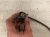 Sold 2019 Honda FIT Oxygen Exhaust Manifold Air Fuel Sensor 36531 5R0 003 Replacement Sold 2019 Honda FIT Oxygen Exhaust Manifold Air Fuel Sensor 36531 5R0 003 Replacement thumbnail