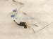 2006 Honda Accord Ac Hose Line A/c Refrigerant Pipe 2.4l Fwd 80320 SDA A02 Replacement 2006 Honda Accord Ac Hose Line A/c Refrigerant Pipe 2.4l Fwd 80320 SDA A02 Replacement thumbnail