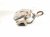 2026 Chevy Equinoxev Front Driver Brake Caliper 13542337 Replacement 2026 Chevy Equinoxev Front Driver Brake Caliper 13542337 Replacement thumbnail