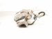 2026 Chevy Equinoxev Front Driver Brake Caliper 13542337 Replacement 2026 Chevy Equinoxev Front Driver Brake Caliper 13542337 Replacement thumbnail