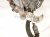 2026 Chevy Equinoxev Front Driver Brake Caliper 13542337 Replacement 2026 Chevy Equinoxev Front Driver Brake Caliper 13542337 Replacement thumbnail