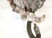 2026 Chevy Equinoxev Front Driver Brake Caliper 13542337 Replacement 2026 Chevy Equinoxev Front Driver Brake Caliper 13542337 Replacement thumbnail
