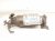 2021 Honda CR V Catalytic Exhaust Converter 2.0l Hybrid 18150 5RD L00 Replacement 2021 Honda CR V Catalytic Exhaust Converter 2.0l Hybrid 18150 5RD L00 Replacement thumbnail